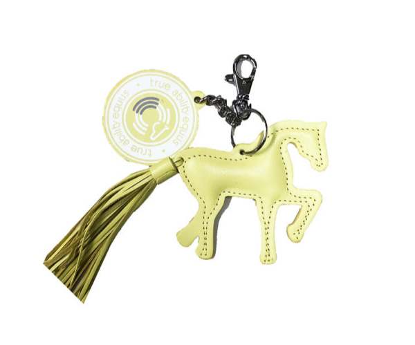TAEMiniHorse - Image 6