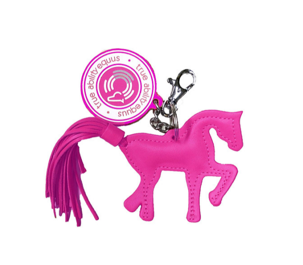 TAEMiniHorse - Image 3