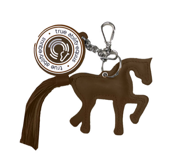 TAEMiniHorse - Image 4