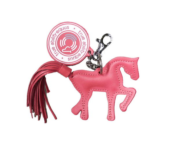 TAEMiniHorse