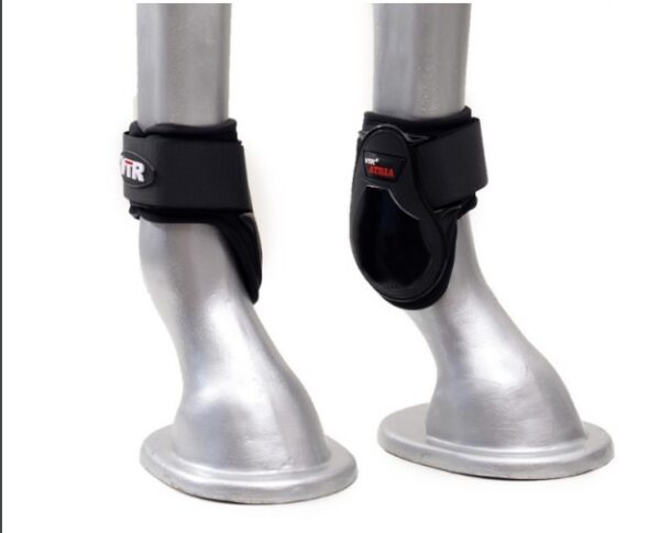 Boleteira Atria Velcro - Image 2