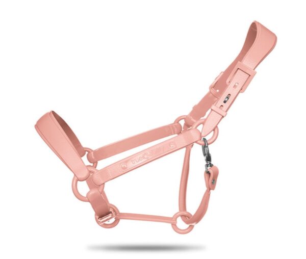 TAEHalter - Image 2