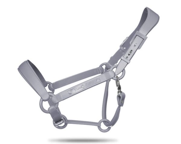 TAEHalter - Image 3