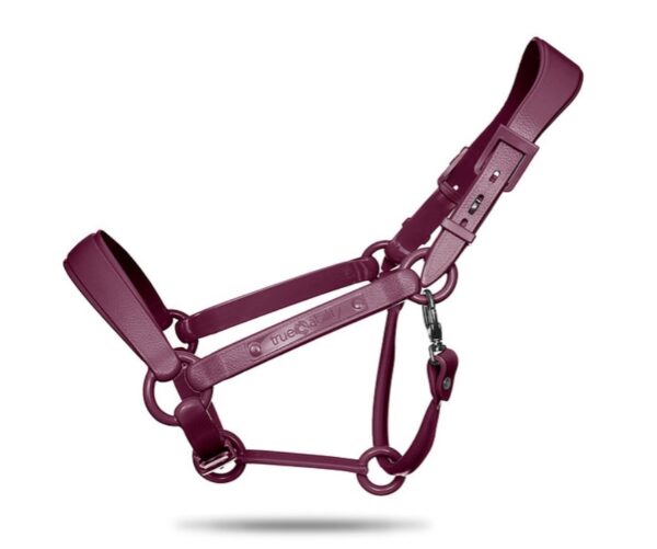 TAEHalter - Image 4
