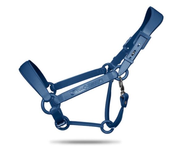 TAEHalter - Image 5