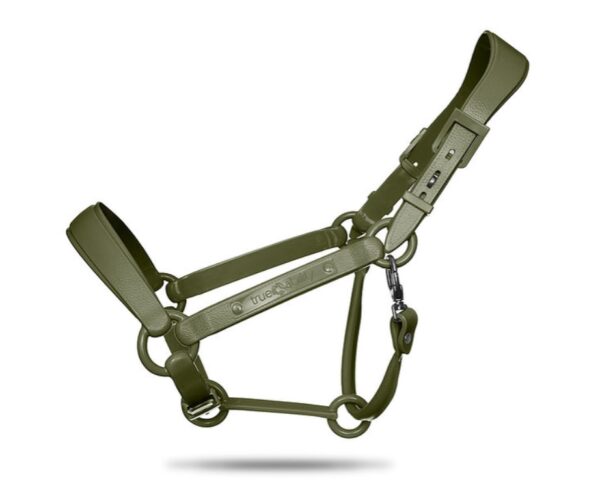 TAEHalter - Image 6