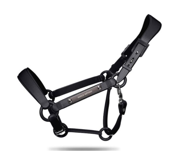 TAEHalter