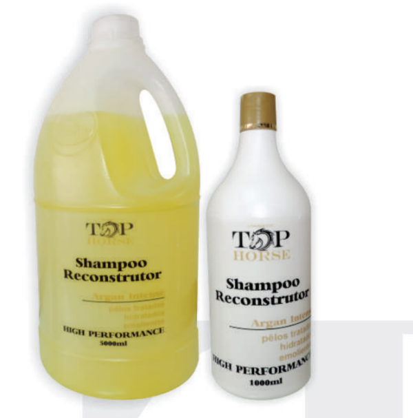 Shampoo Reconstrutor Argan Intense 1L - TOP HORSE