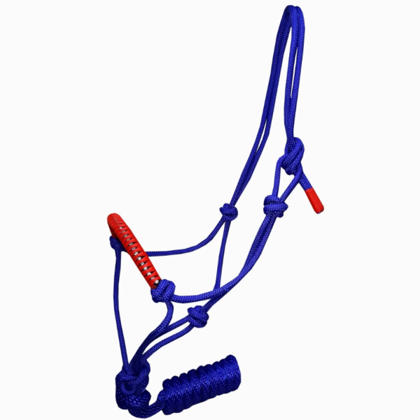 Cabresto de Corda Strass com Guia – Azul Royal e Vermelho