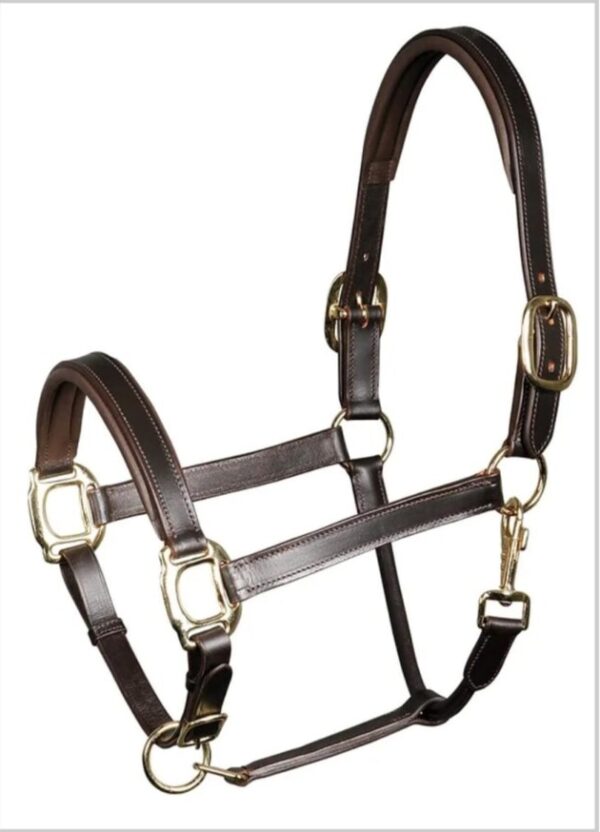 Cabresto Harry`s Horse Couro – Tamanho COB